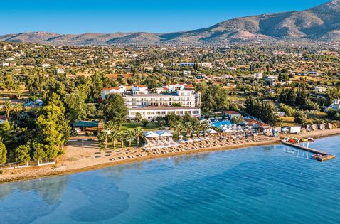 BROWN BEACH EVIA ISLAND